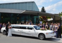 Hochzeits-limousine-mieten-009978