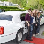 Sibylles Polter Limo