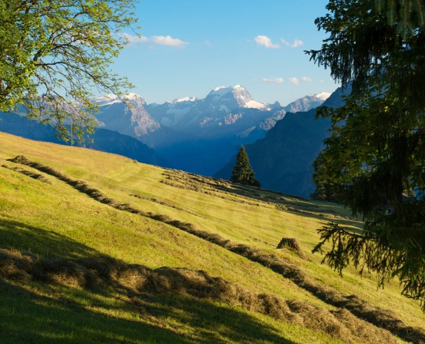 Glarus Aussicht auf die Berge