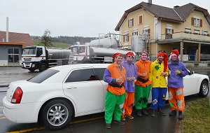 fasnacht-jubilaeum-s-stocker-maerz-2014