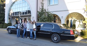 hochzeitskleid-anprobe-mit-limo
