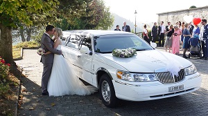limousine-seetal